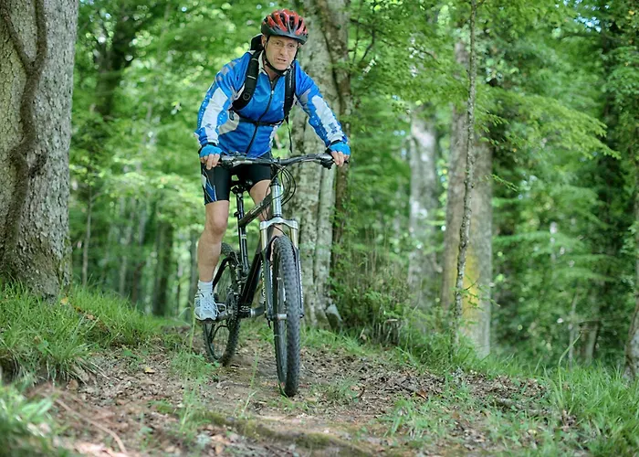 Hotel Palme Gemelle Vieste