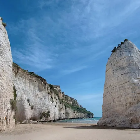 Palme Gemelle Hotel Vieste