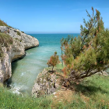 Palme Gemelle Hotel Vieste