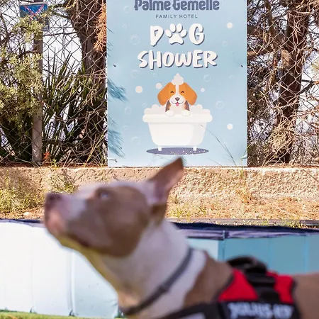 Palme Gemelle 3* ヴィエステ