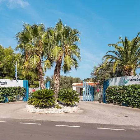 Palme Gemelle