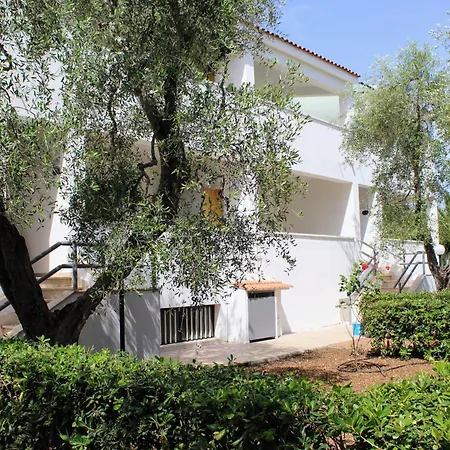 Palme Gemelle Vieste