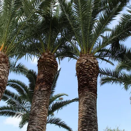 Palme Gemelle Hotel 3*