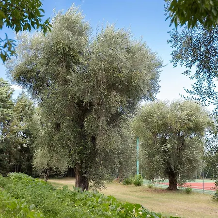 호텔 Palme Gemelle 3*