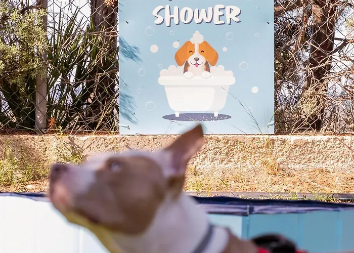 Palme Gemelle 3* Vieste